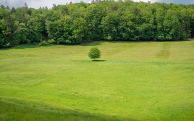 Filofobia: quando la paura di amare diventa invalidante