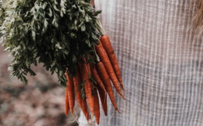 Ortoressia nervosa: la gabbia del mangiar sano